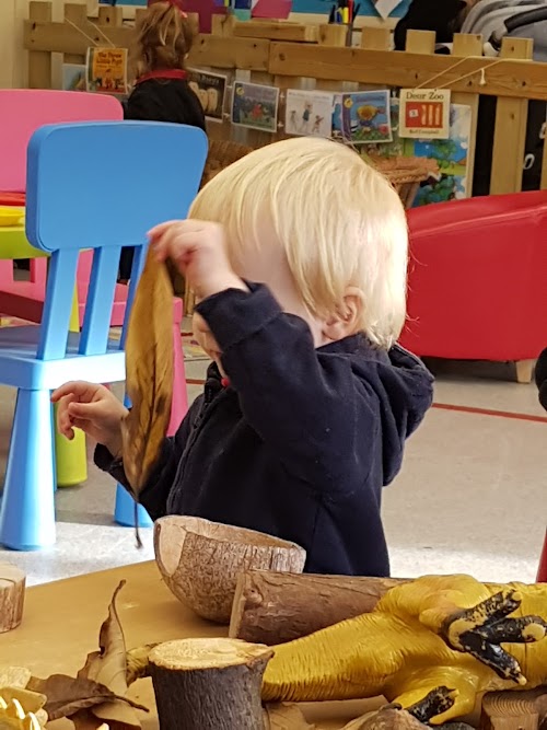 Nursery image 3