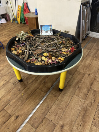 Nursery image 3