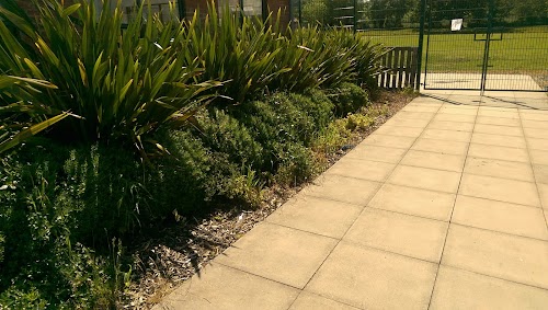 Nursery image 3