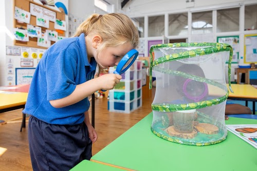 Nursery image 2